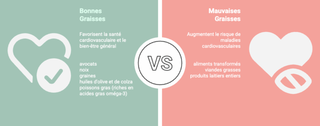 Quelle est l’importance du gras dans l’alimentation ?