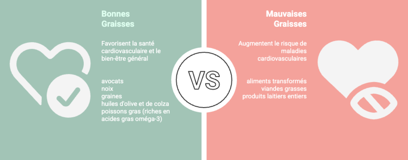 Bonne graisse et mauvaise graisse